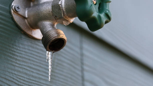 Best Plumbing Services Near Me  in Burkburnett, TX